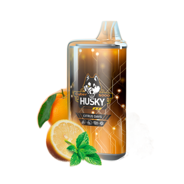 HUSKY CYBER NEW 8000 Апельсин лимон перечная мята лёд