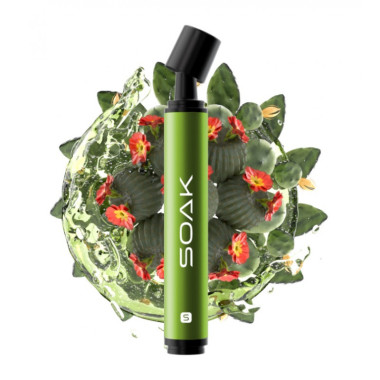 SOAK S Кактусовый лимонад SOAK S Кактусовый лимонад