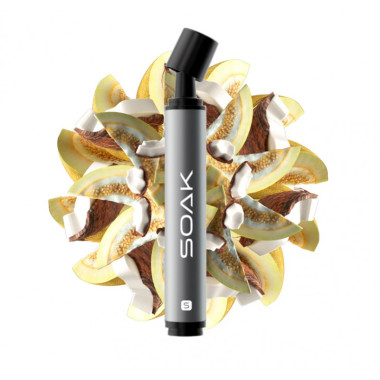 SOAK S Кокосовая дыня SOAK S Кокосовая дыня