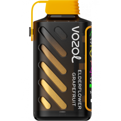 VОZOL GEAR POWER 20000 Бузина, Грейпфрут