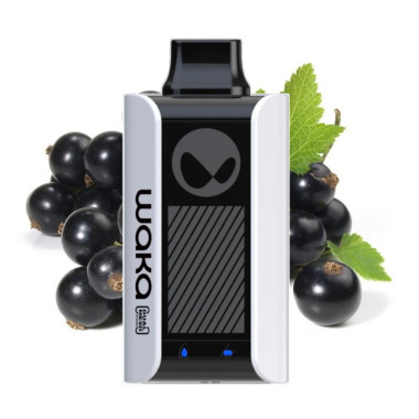 WAKA soPro PA10000 Черная Смородина, Мята WAKA soPro PA10000 Черная Смородина, Мята